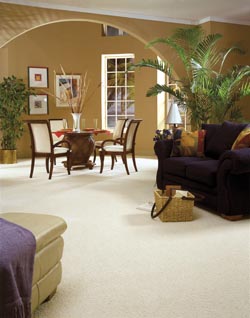 carpet flooring